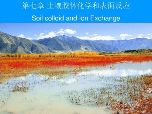 7  土壤胶体化学和表面反应