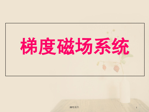 梯度磁场系统  ppt课件