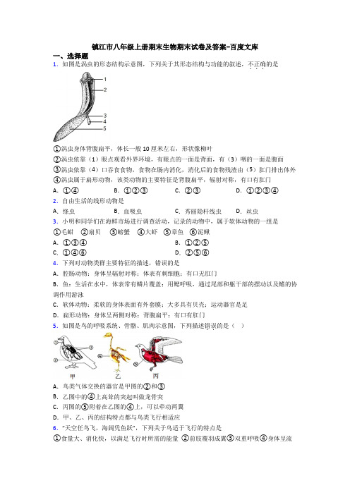 镇江市八年级上册期末生物期末试卷及答案-百度文库
