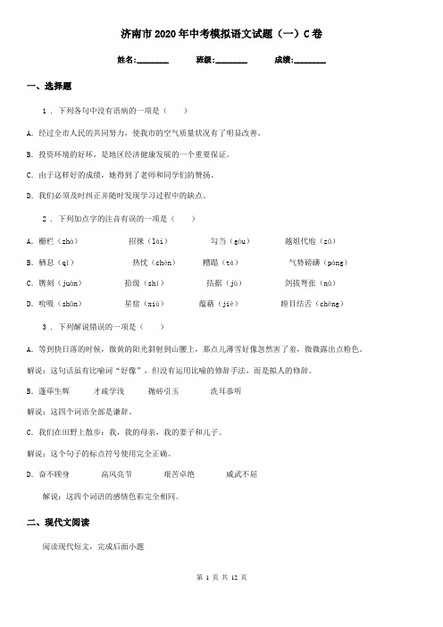 济南市2020年中考模拟语文试题(一)C卷