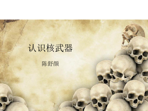 认识核武器