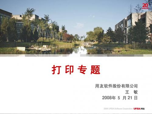u8打印专题