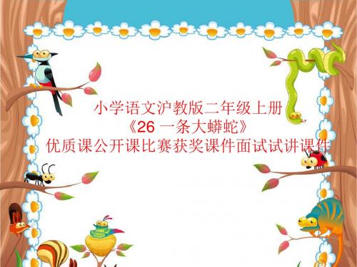 小学语文沪教版二年级上册《26 一条大蟒蛇》优质课公开课比赛获奖课件面试试讲课件