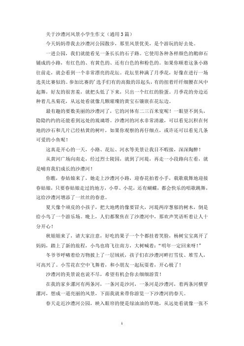 关于沙澧河风景小学生作文(通用3篇最新)