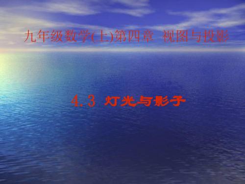 北师大版九年级数学上册4.3 灯光与影子