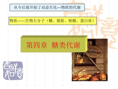 高中生物 第四章 糖类代谢