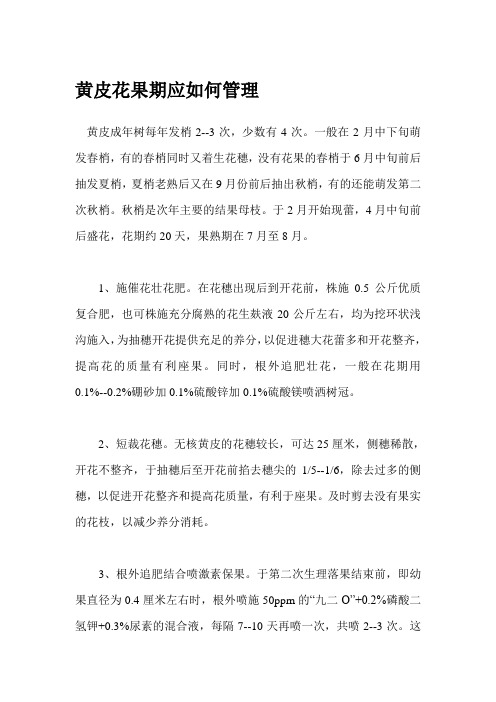 黄皮花果期应如何管理