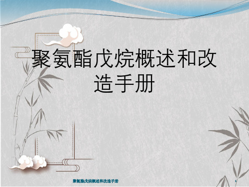 聚氨酯戊烷概述与改造手册
