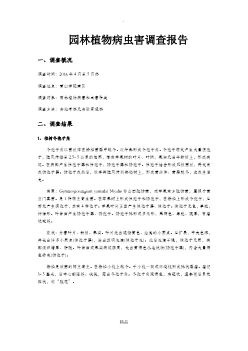 园林植物病虫害调查报告