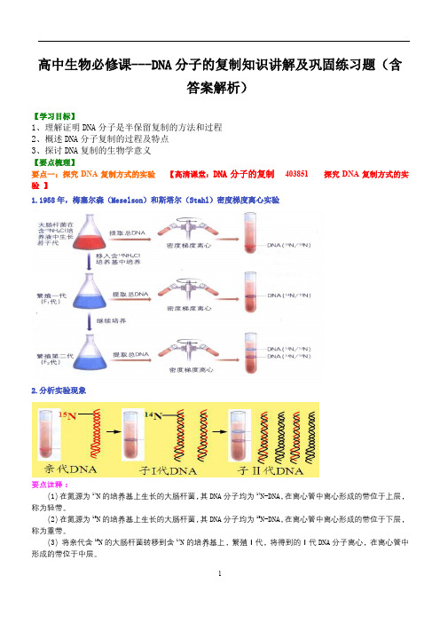 高中生物必修课---DNA分子的复制知识讲解及巩固练习题(含答案解析)