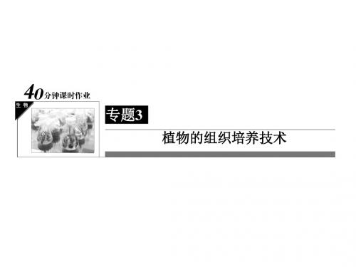 高中生物人教版选修1习题课件-全册 3-1菊花的组织培养