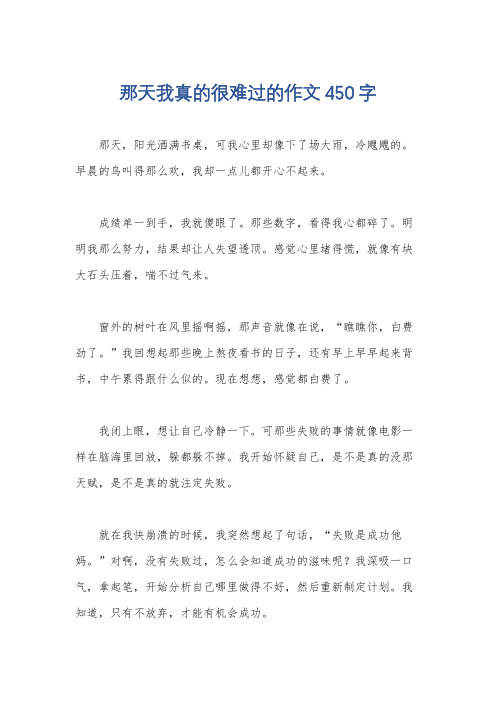 那天我真的很难过的作文450字