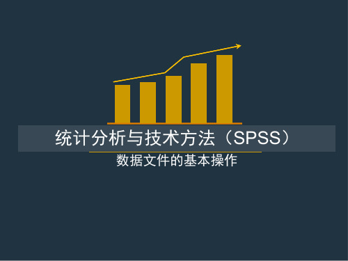 03 spss数据文件的基本操作