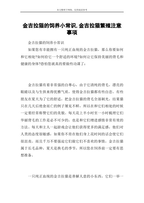 金吉拉猫的饲养小常识,金吉拉猫繁殖注意事项