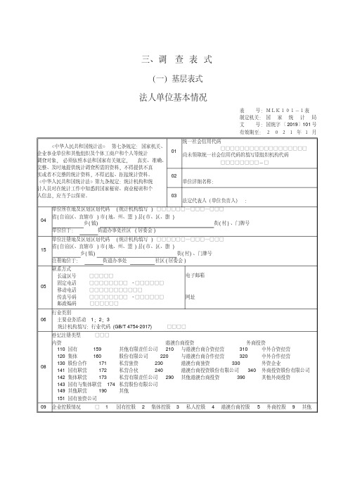 2020年法人单位基本情况统计用表.pdf