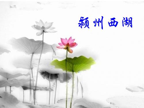颍州西湖景点介绍 PPT