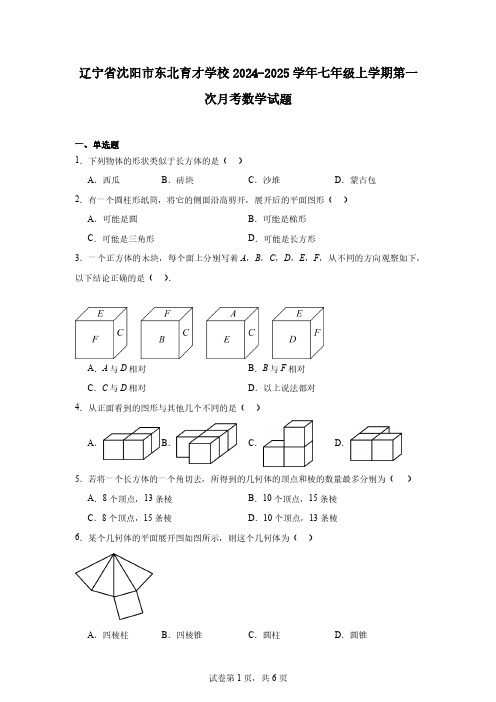 辽宁省沈阳市东北育才学校2024-2025学年七年级上学期第一次月考数学试题