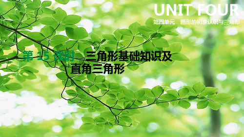 中考数学总复习 第四单元 图形的初步认识与三角形 第15课时 三角形基础知识及直角三角形课件
