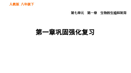 第一章 生物的生殖和发育 巩固强化复习 训练课件