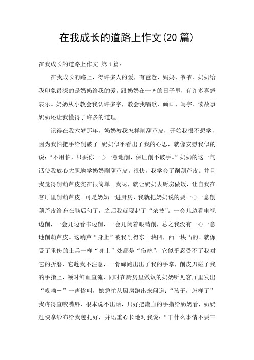在我成长的道路上作文(20篇)