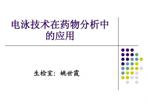 电泳技术在药物分析中的应用