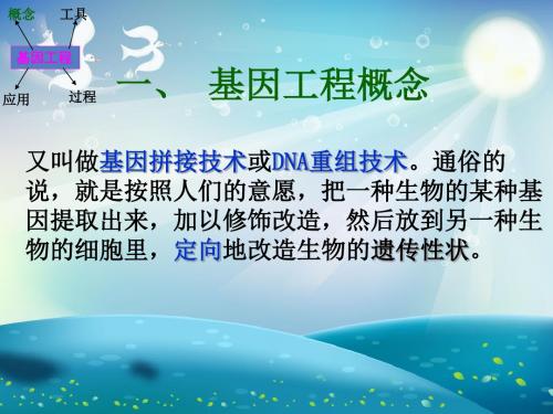 基因工程及其他育种方法课件