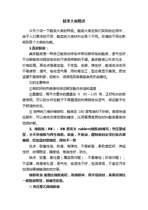 鞋类大底概述