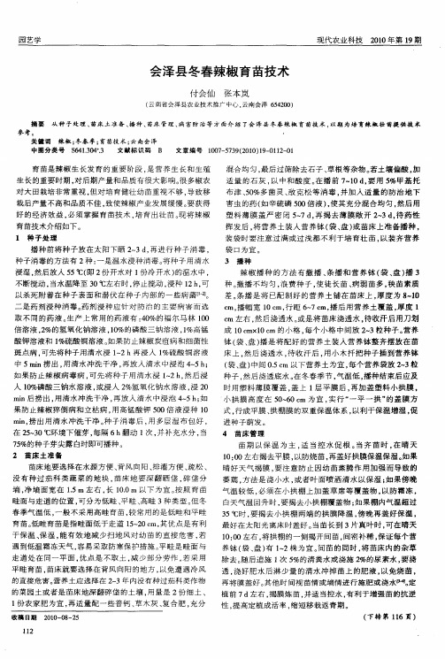 会泽县冬春辣椒育苗技术