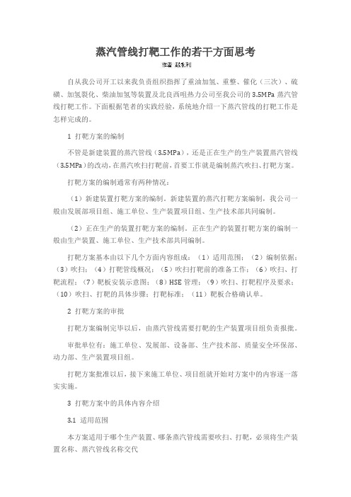 蒸汽管线打靶工作的若干方面思考