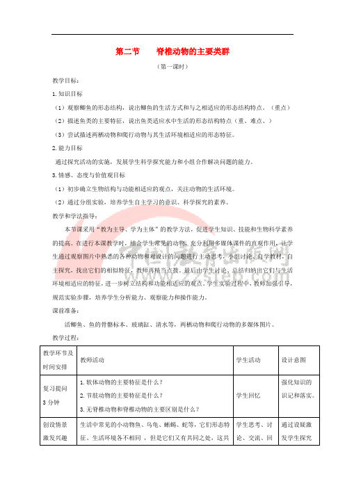 七年级生物上册 2.2.2《脊椎动物的主要类群》第一课时教案2 (新版)济南版