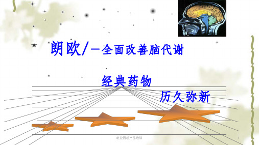 吡拉西坦产品培训ppt课件