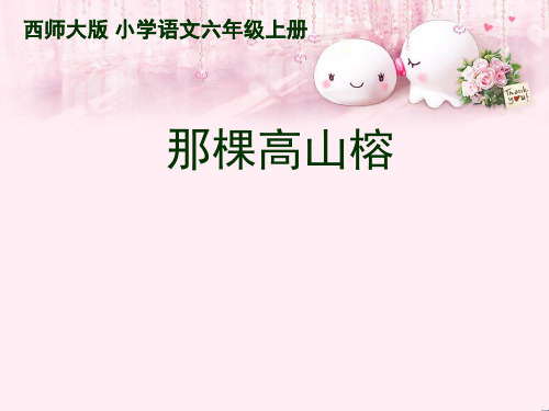 最新六年级语文上册 第6课 那棵高山榕3 西师大版优选教学课件