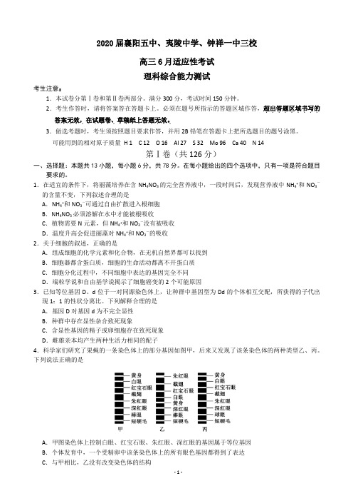 2020届湖北省(襄阳五中,夷陵中学,钟祥一中三校)高三6月适应性考试理综试题