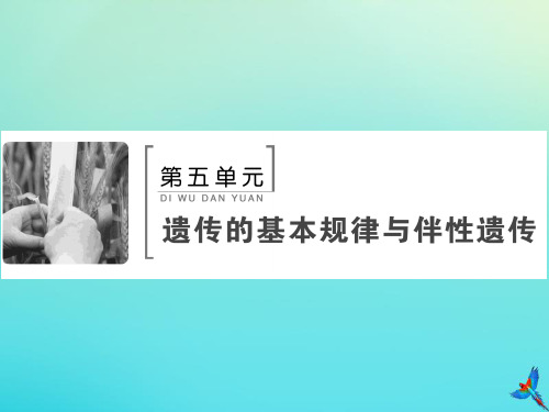2020版高考生物一轮复习第14讲基因自由组合定律课件新人教版201907241246