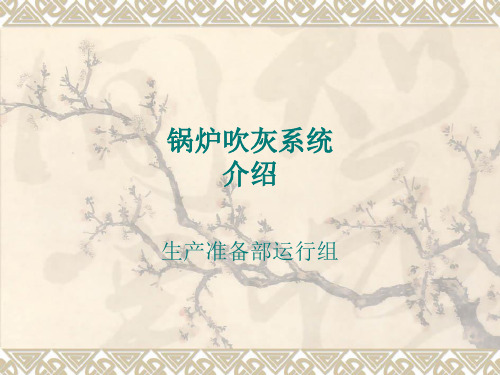 锅炉吹灰系统