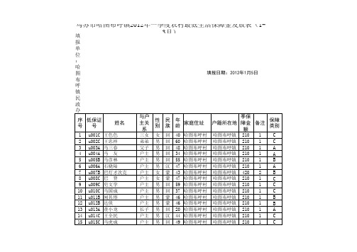 农村低保金发放表