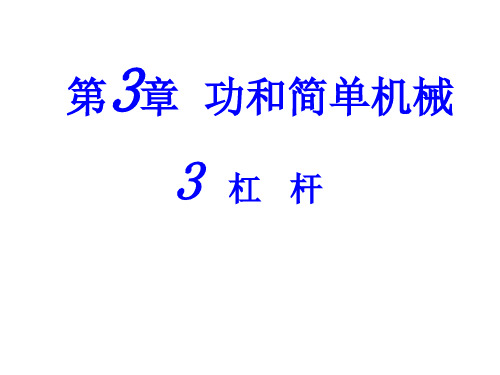 九年级科学杠杆2