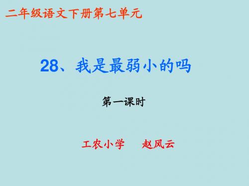 28课第一课时我是最弱小的吗课件