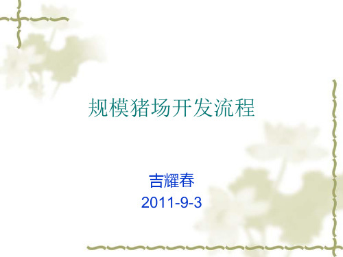 规模猪场开发流程