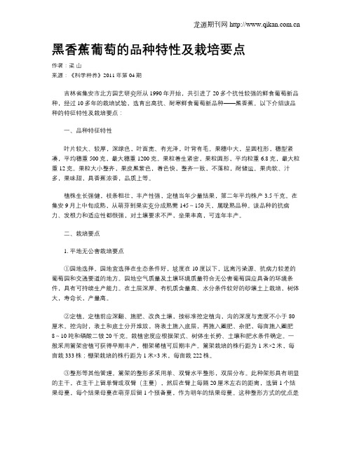 黑香蕉葡萄的品种特性及栽培要点