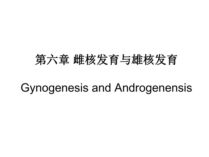 雌核发育