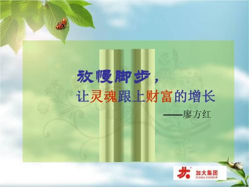 放慢脚步,让灵魂跟上财富的增长