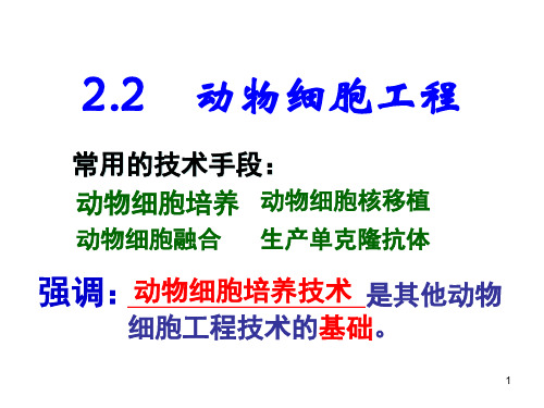 人教版选修三生物课件：2.2.1动物细胞培养和核移植