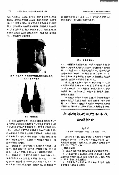 羔羊铜缺乏症的临床及病理检查