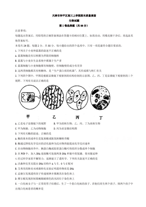 2019年天津市和平区高三上学期期末质量调查生物试题_有答案