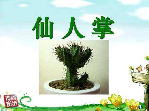 《仙人掌》PPT精品教学课件5