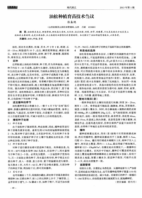 油松种植育苗技术刍议