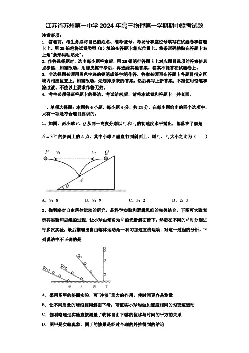 江苏省苏州第一中学2024年高三物理第一学期期中联考试题含解析