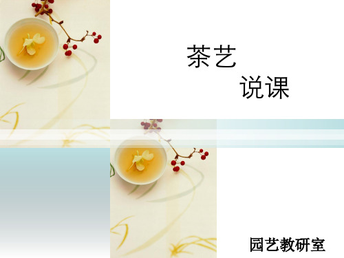 茶艺说课