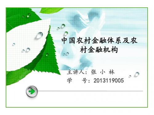 中国农村金融体系及农村金融机构-IzzieBees